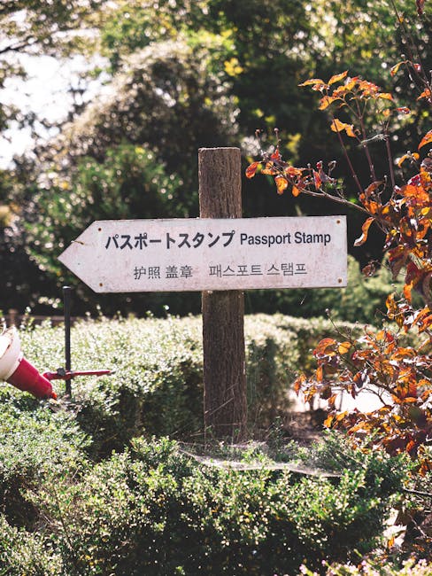 Оформление визы в Болгарию для граждан России