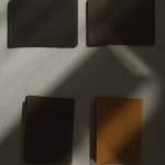 Эмиграция из США в Россию: условия и услуги по оформлению документов