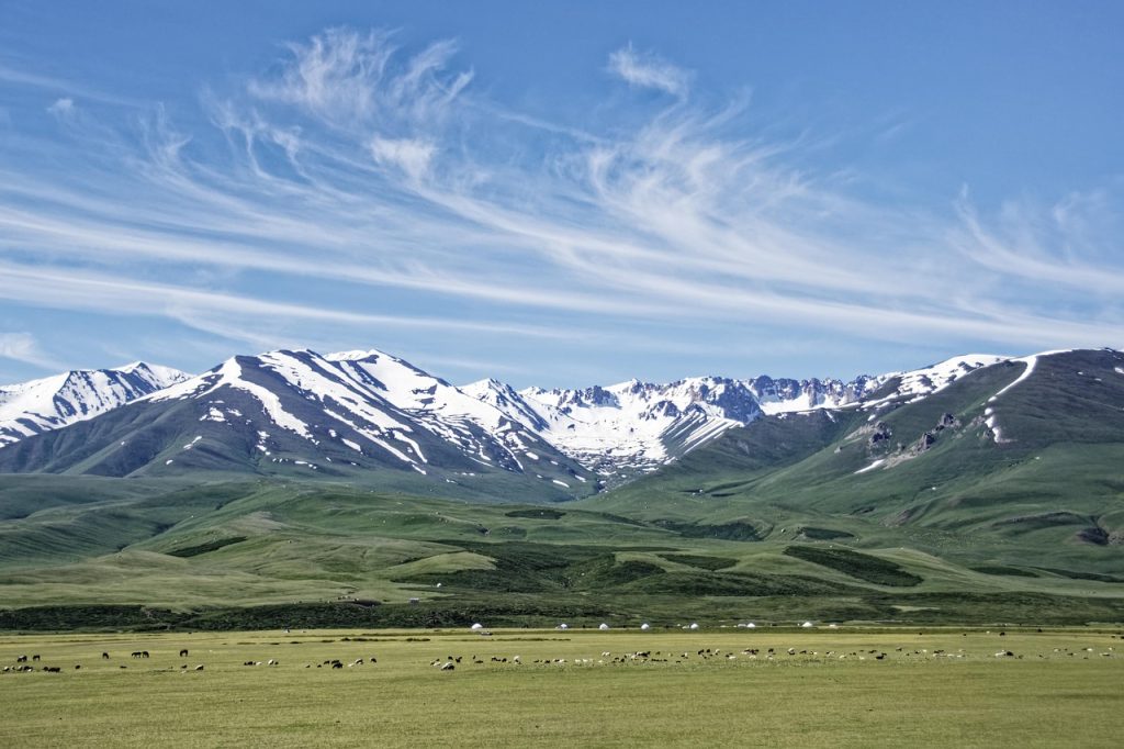 Оформление визы во Францию быстро и без проблем