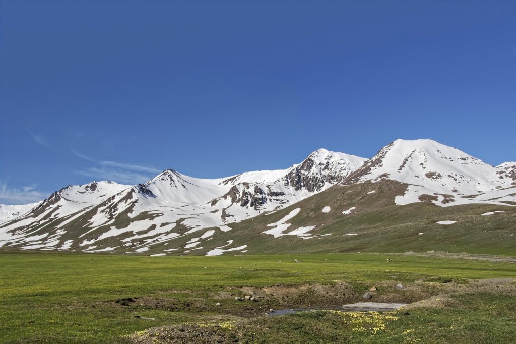 Оформление визы в Англию: пошаговое руководство