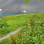 Оформление шенгенской визы просто и быстро