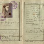 Получение вида на жительство ВНЖ значение процедура и помощь при оформлении