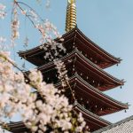 Оформление шенгенской визы в Калининграде