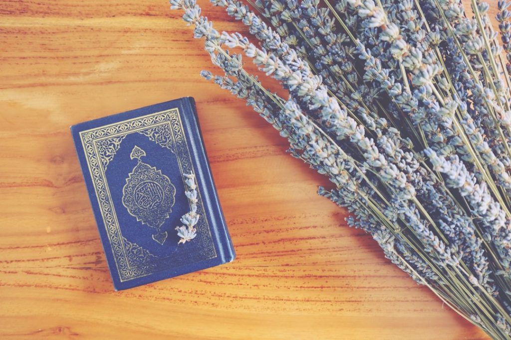 Получение гражданства Европы: пути и способы