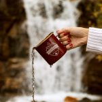 Визы в ОАЭ для граждан России