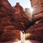 ПМЖ в Германии через инвестиции в недвижимость