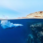 Миграционные услуги для иностранцев