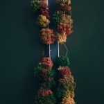 Оформление визы в Германию