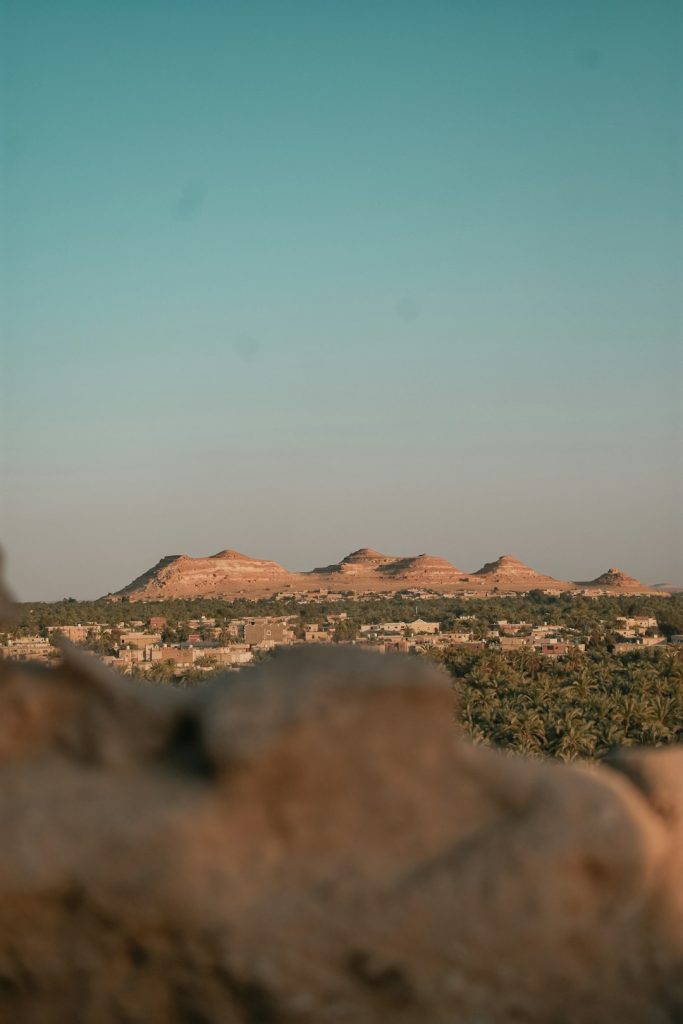 Внешнее согласование документа