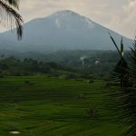 Плюсы жизни в Канаде для русских иммигрантов