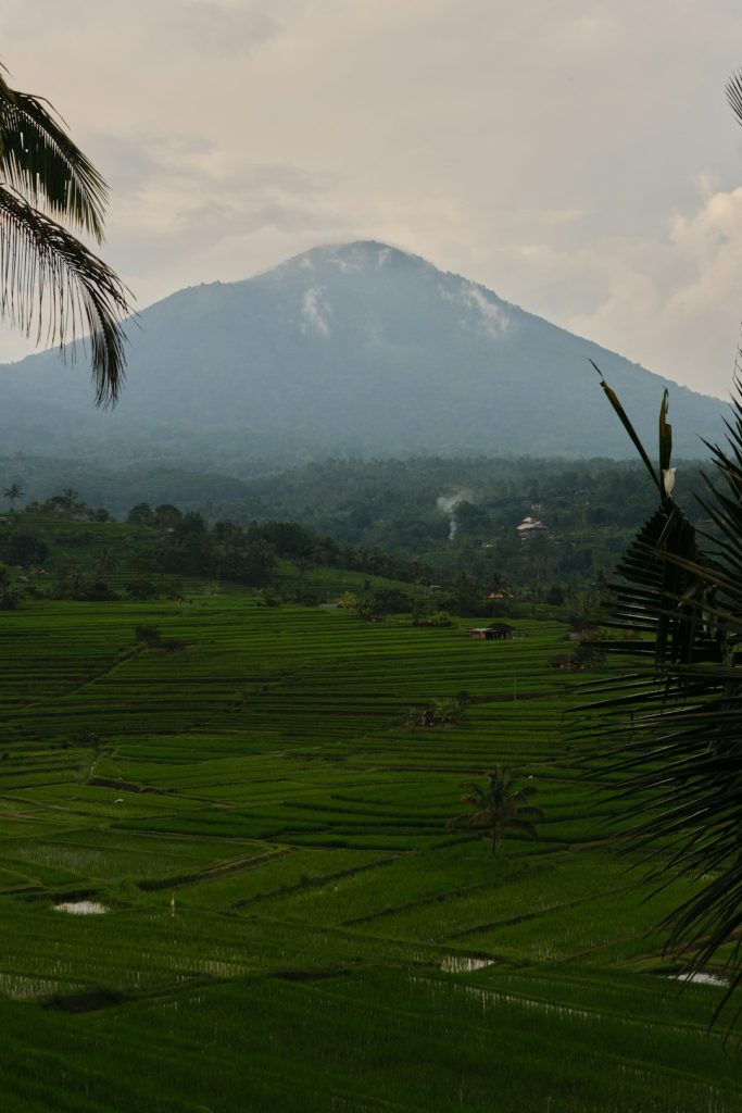 Плюсы жизни в Канаде для русских иммигрантов