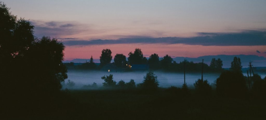 Приложения для инвестиций без паспорта